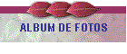 ALBUM DE FOTOS