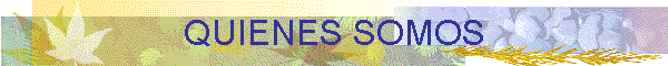 QUIENES SOMOS