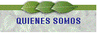 QUIENES SOMOS