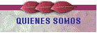 QUIENES SOMOS