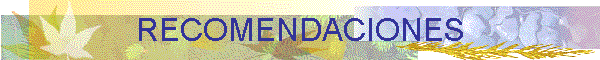 RECOMENDACIONES